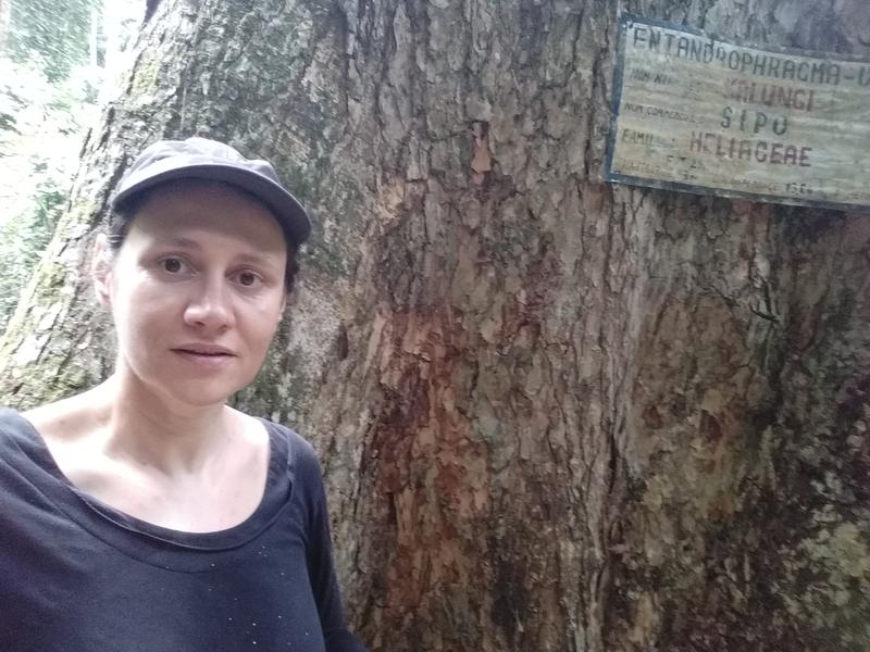 Une chercheuse écologue forestière tropicaliste rejoint l'UPR Forêts et Sociétés