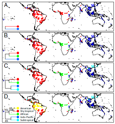 Une classification phylogénétique des forêts tropicales du monde