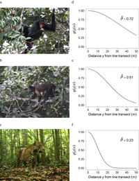 Vers un modèle de prédiction des espèces rares de vertébrés en forêts tropicales