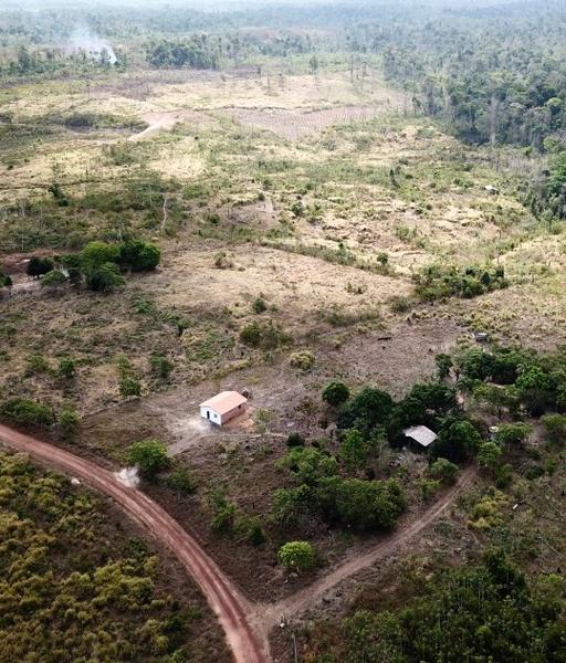 Vers une restauration des paysages forestiers dans les front pionniers amazoniens