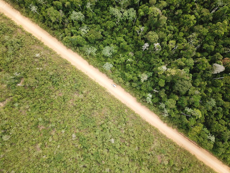 Paysage de forêts dégradées à Paragominas, Para, Brésil. © Clément Bourgoin