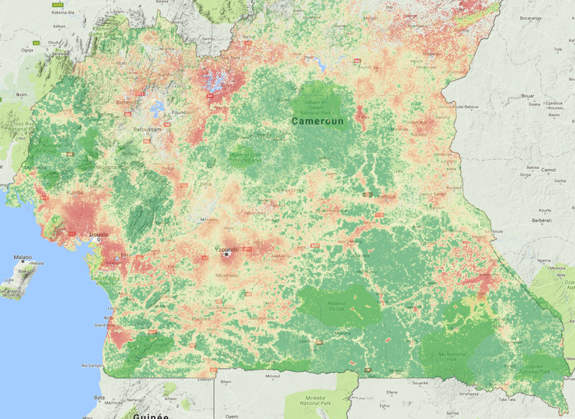 Modélisation et prédiction de la déforestation en zone tropicale.