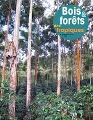 Bois et Forêts des Tropiques  © Cirad